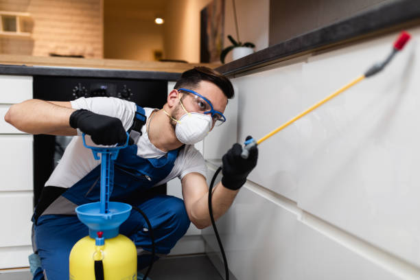 Best Local Pest Control Services  in Montezuma, GA