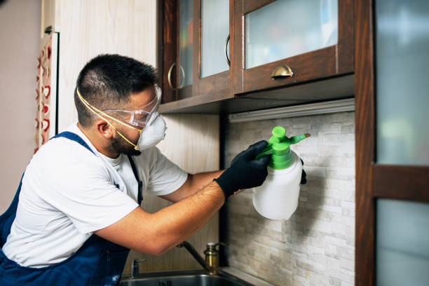 Best Pest Inspection Near Me  in Montezuma, GA