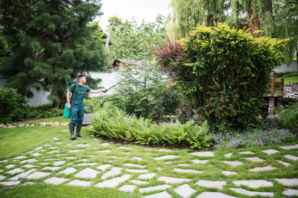 Pest Prevention Services in Montezuma, GA