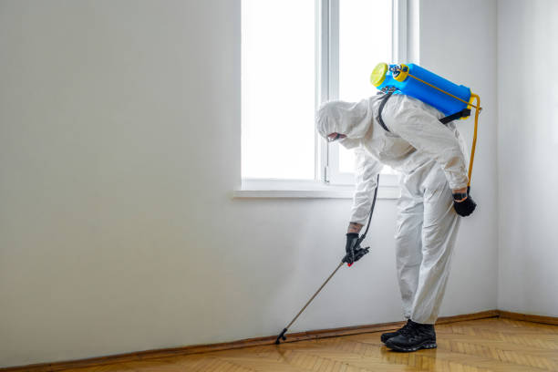 Best Residential Pest Control  in Montezuma, GA