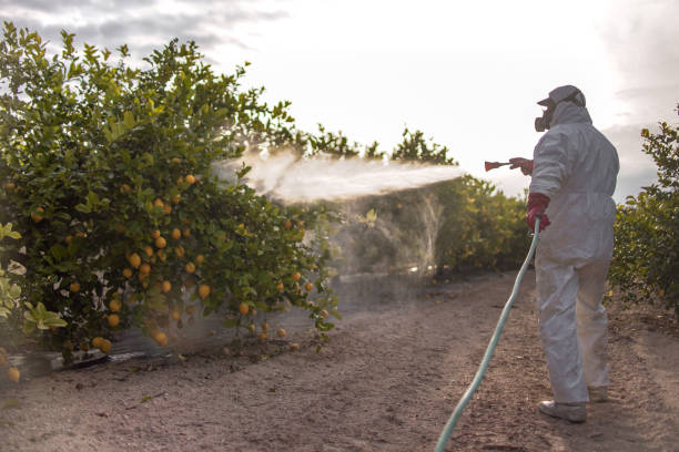 Best Exterminator Services  in Montezuma, GA