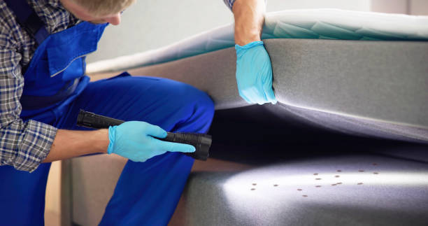 Best Cockroach Control Services  in Montezuma, GA