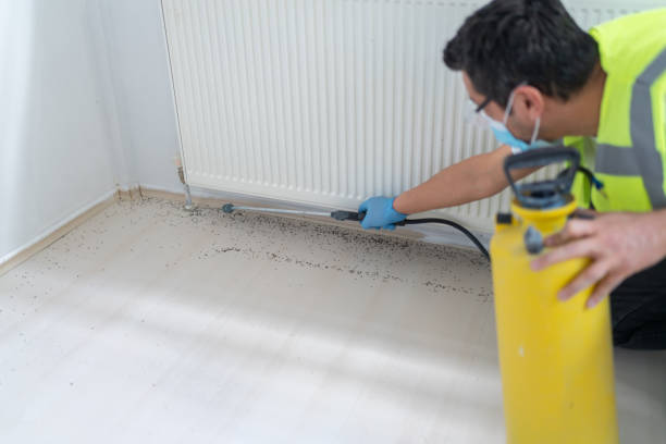 Best Pest Prevention Services  in Montezuma, GA